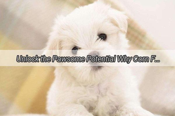 Unlock the Pawsome Potential Why Corn Flour Could Be Your Dogs Secret Diet Weapon